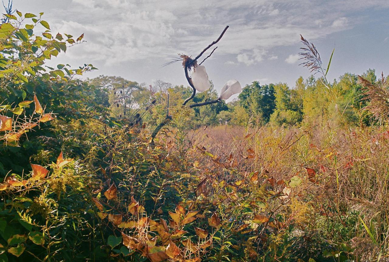 10708760 10101855783033024 1122011286059121414 o